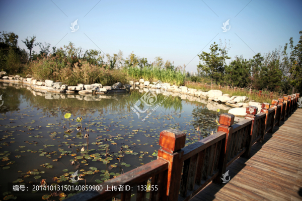 濕地公園