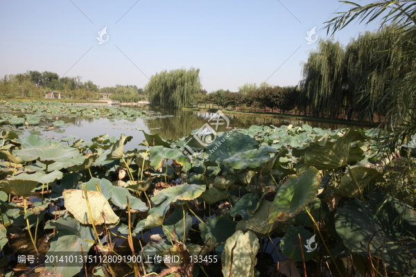 濕地公園