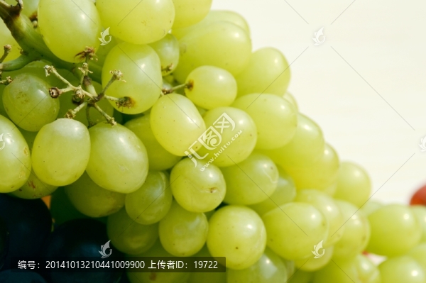 近拍葡萄圖
