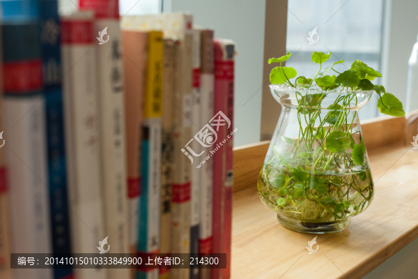 綠色植物
