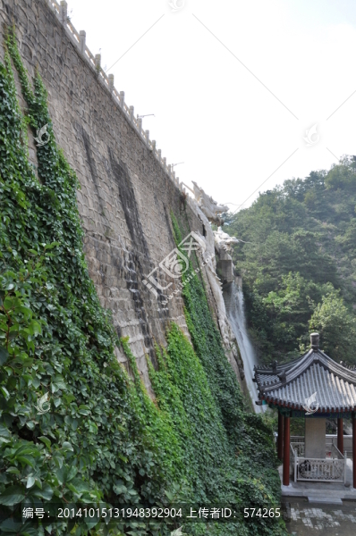 側(cè)拍墻上的爬山虎