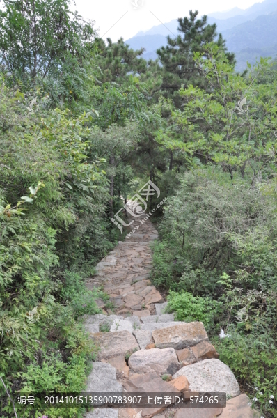 林蔭小道