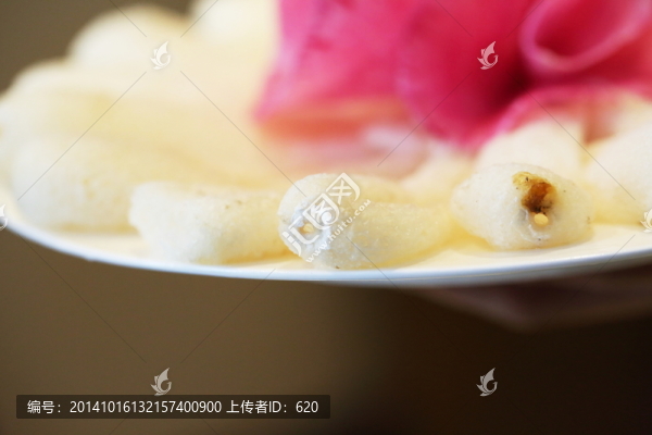 菌類