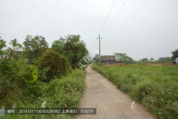 馬路