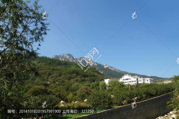 泰山