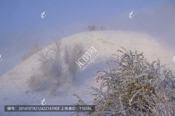 觀霧淞