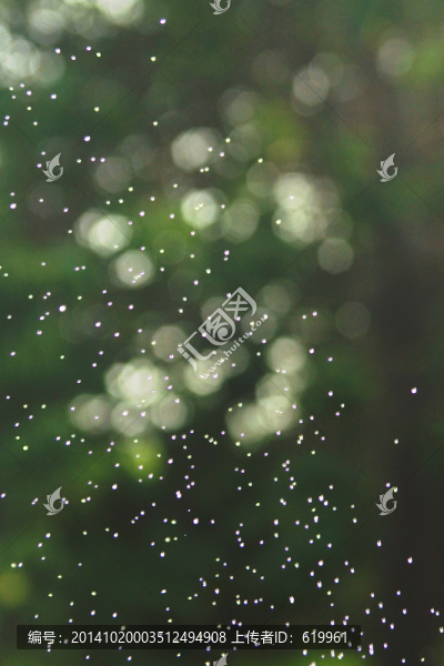 水花光斑