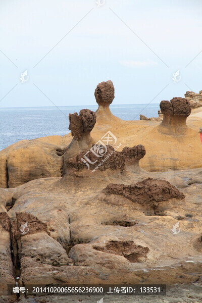 臺(tái)灣野柳風(fēng)景區(qū),礁石,覃狀巖