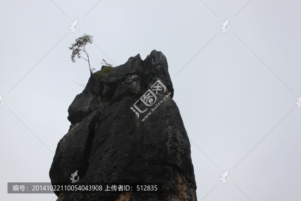石林