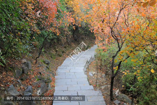 盤山路,石階