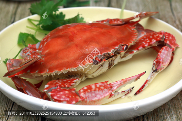 清蒸海蟹