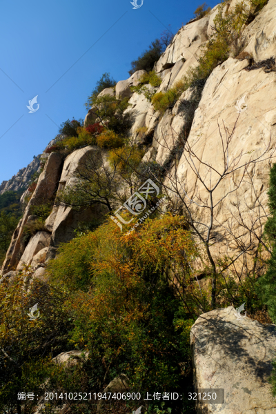 泰山風(fēng)光