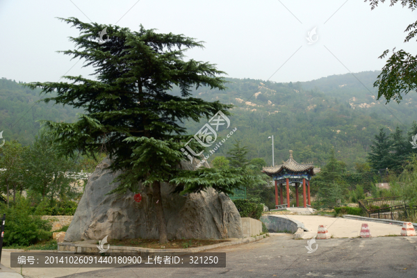 園林石,景觀園林