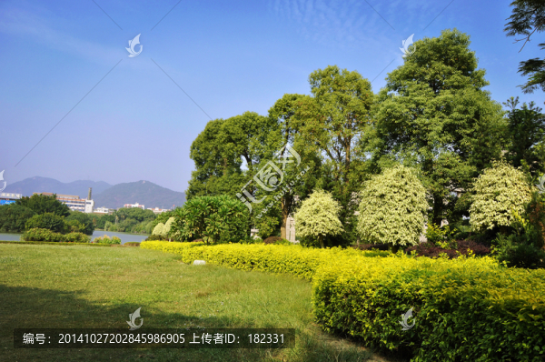 藍天下綠樹草地