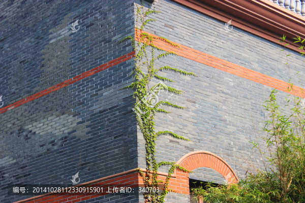 老建筑,爬山虎
