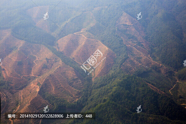 武夷山巖茶茶山航拍圖