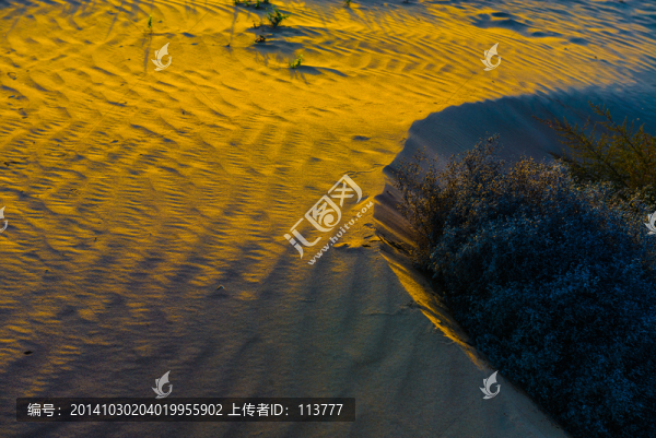 沙漠,沙灘