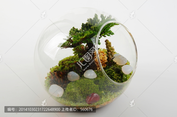 玻璃缸,微景觀