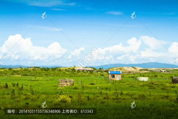 呼倫貝爾草原