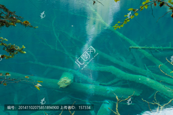 九寨溝湖泊水底的木頭