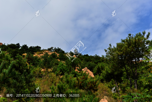山間原野