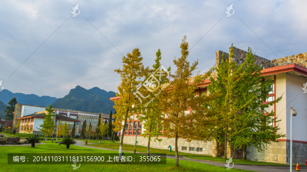 東軟學院