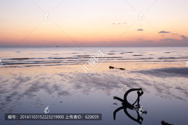 海邊淺灘