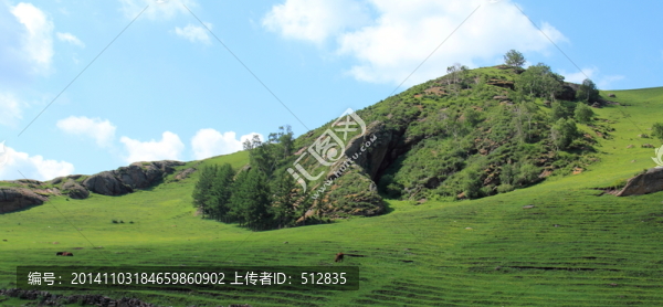 黃花溝