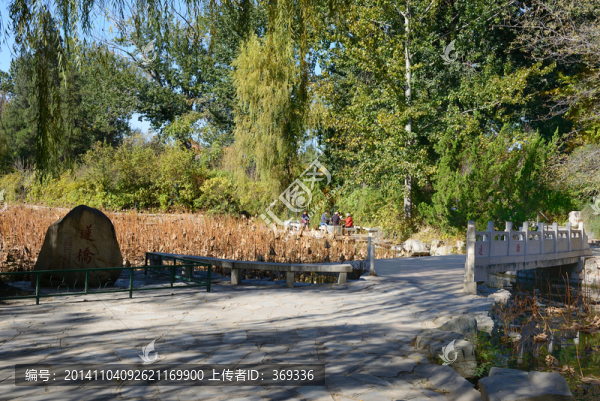 清華大學(xué)近春園蓮橋
