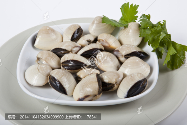 白貝,沙白,海貝,貝殼,海鮮