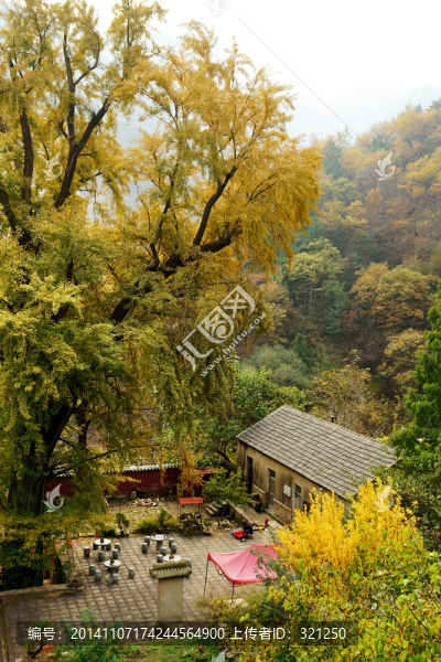 泰山玉泉寺風(fēng)光