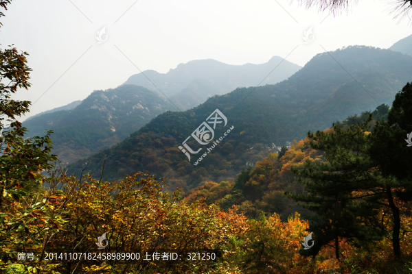 泰山,金色山脈