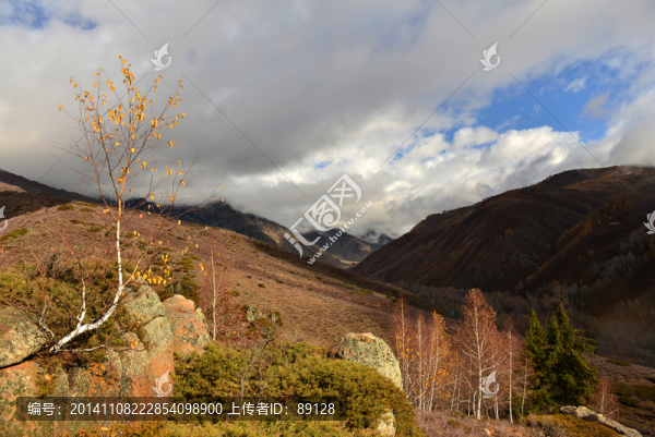 阿勒泰風光