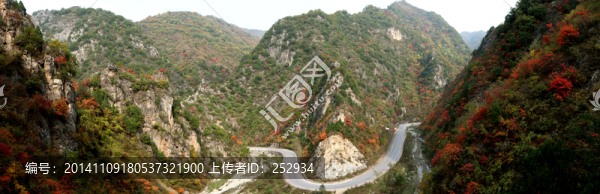 層林盡然紅葉景（大圖）