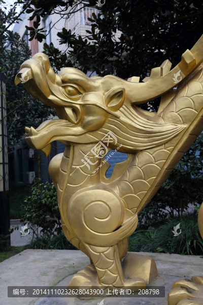金龍