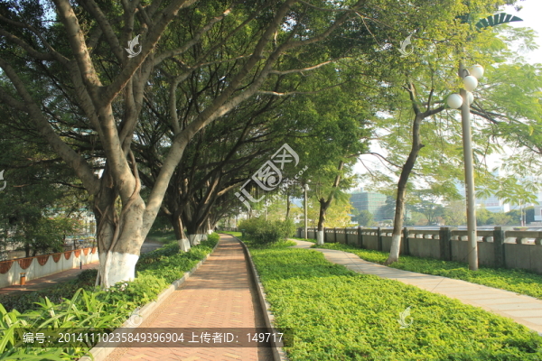 林蔭道