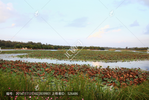 海南濕地公園