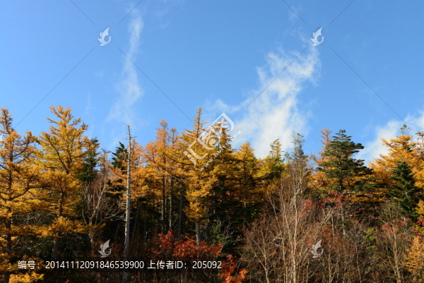 富士山景區(qū)