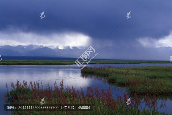 草原風(fēng)光,沼澤,濕地,風(fēng)雨
