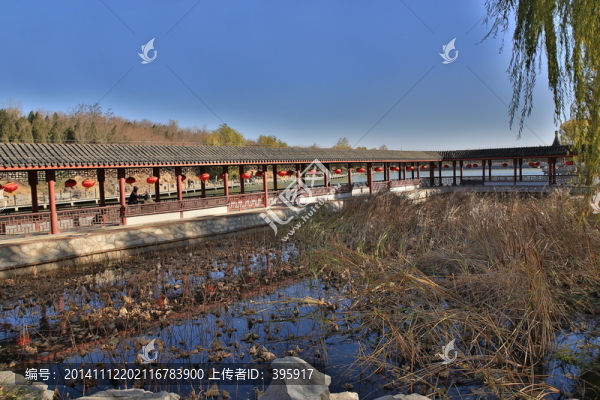 北宮森林公園
