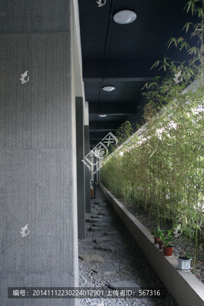 泰華會所