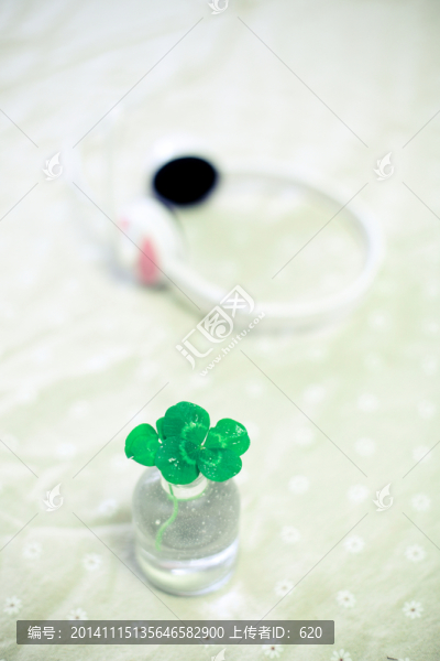 四葉草