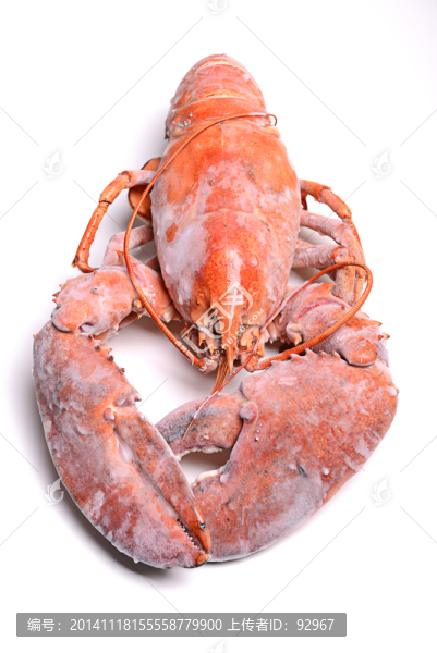 加拿大龍蝦