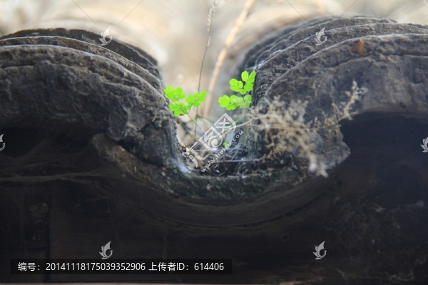 爨底下村,瓦片