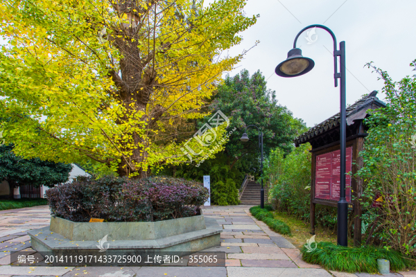 烏鎮(zhèn)