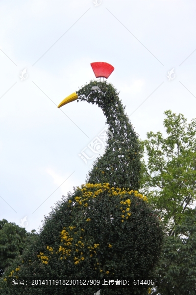 孔雀,花卉造型