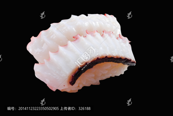 大八爪魚壽司
