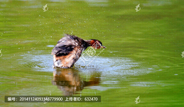 小PT抖水
