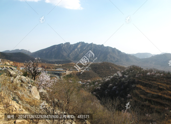 山