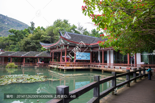 林景觀,古建筑,湖水,園藝花木